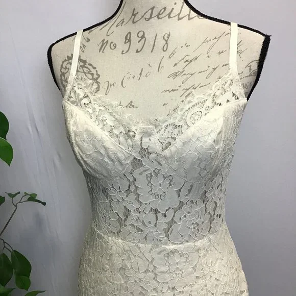 Fashion Nova- Cream Lace Bodysuit Dress, size L - Picture 3 of 11